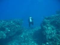 IMG_2229.JPG

54.60 KB 
800 x 600 
8/3/2009