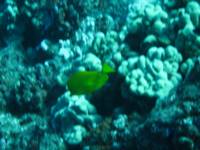 IMG_2249.JPG

78.74 KB 
800 x 600 
8/3/2009