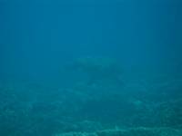 IMG_2293.JPG

32.45 KB 
800 x 600 
8/3/2009